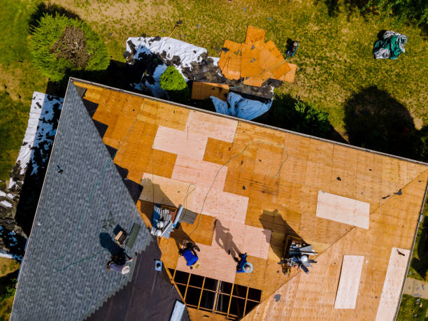 Best Roof Repair Services  in Marysville, CA
